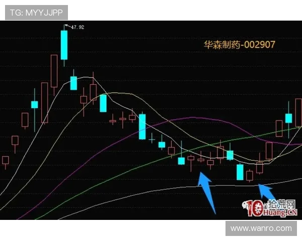 杭州排球队运营分析：成功经验与面临挑战的深度探讨
